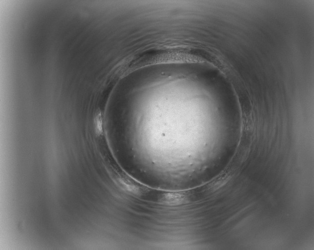 X0000067870095200604131247