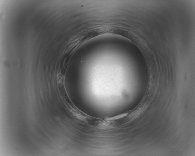 X0000067870096200604131247