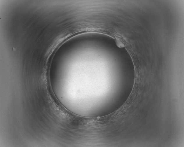 X0000067870098200604131247