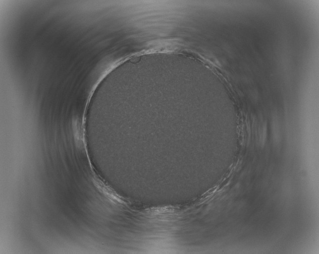 X0000067870100200604131247