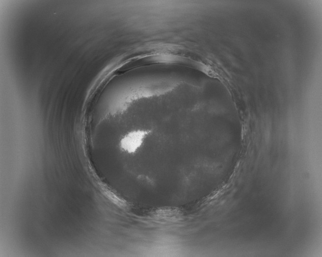 X0000067870101200604131247