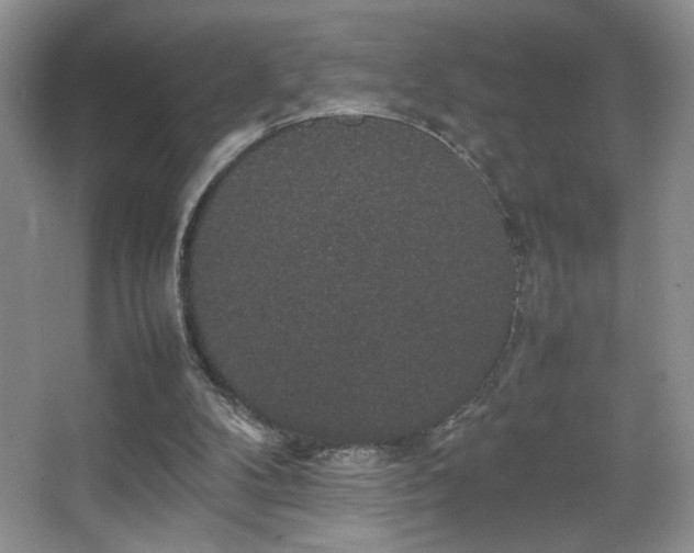 X0000067870104200604131247