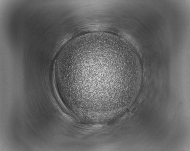 X0000067870105200604131247