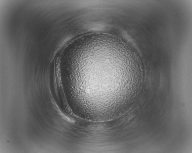 X0000067870106200604131247