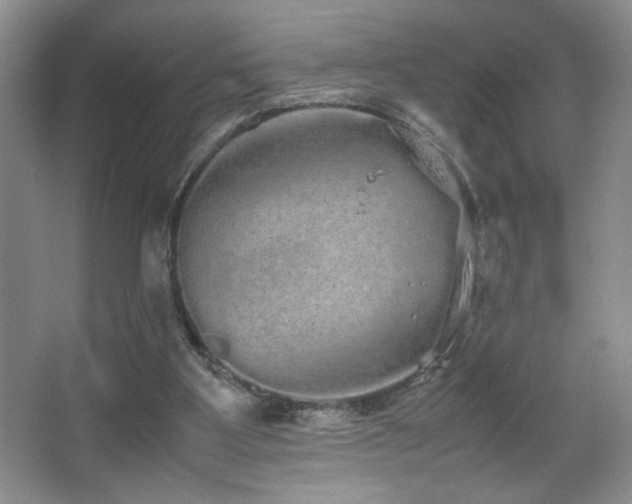 X0000067870107200604131246