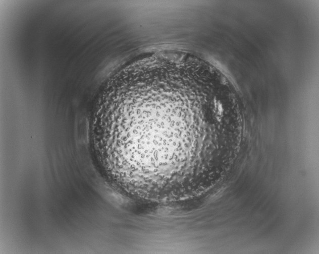 X0000067870109200604131246