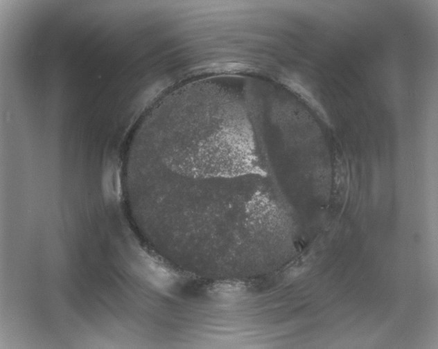 X0000067870110200604131246