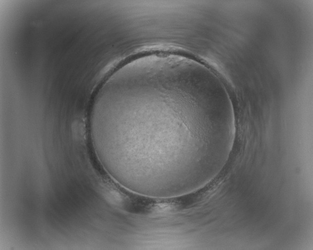 X0000067870111200604131246