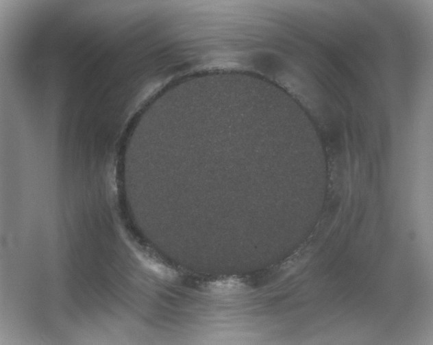 X0000067870112200604131246