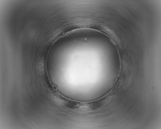 X0000067870113200604131246