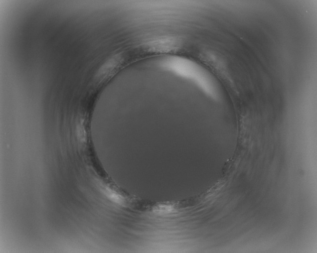 X0000067870114200604131246