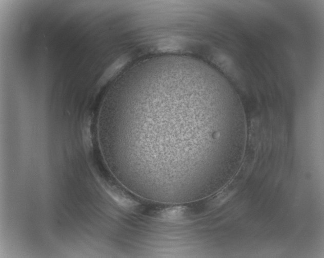 X0000067870116200604131246