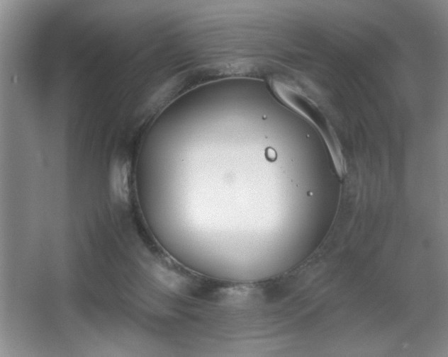 X0000067870118200604131246