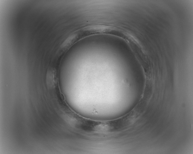 X0000067870119200604131246