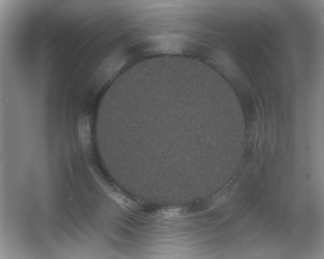 X0000067870120200604131246