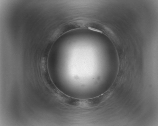 X0000067870121200604131246