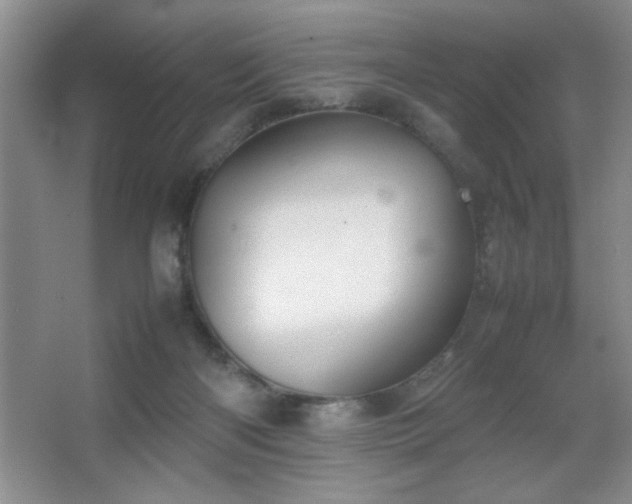 X0000067870122200604131246