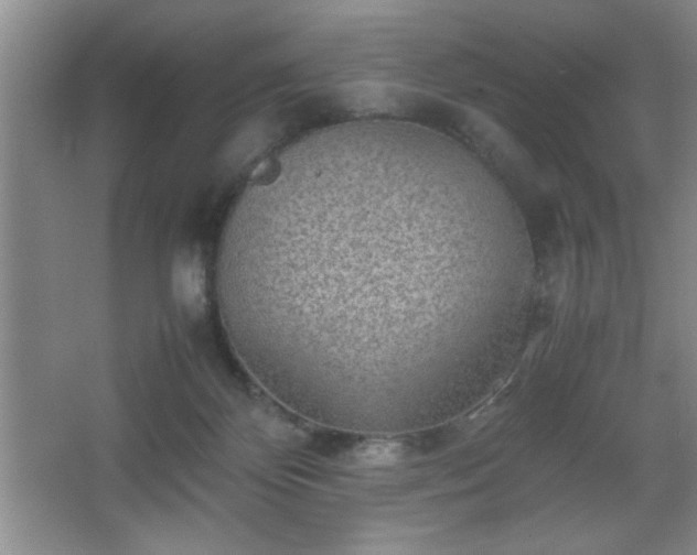 X0000067870124200604131246