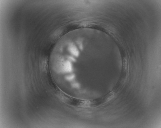 X0000067870127200604131246