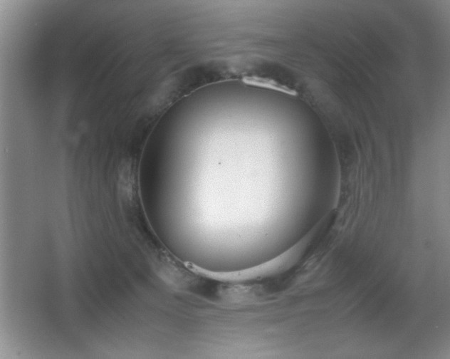 X0000067870129200604131246