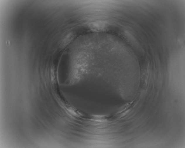 X0000067870130200604131246