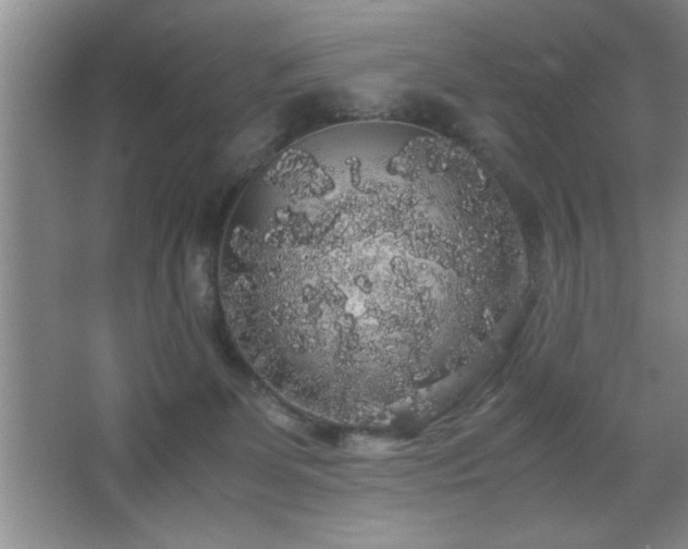 X0000067870131200604131246