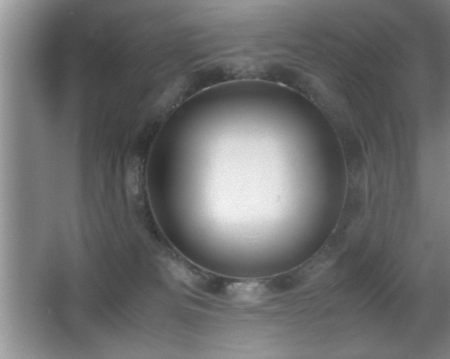 X0000067870133200604131246