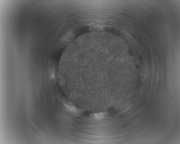 X0000067870134200604131246