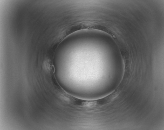 X0000067870135200604131246