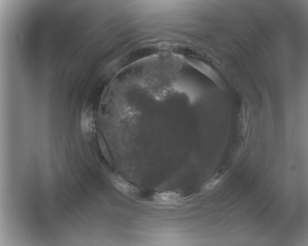 X0000067870137200604131246