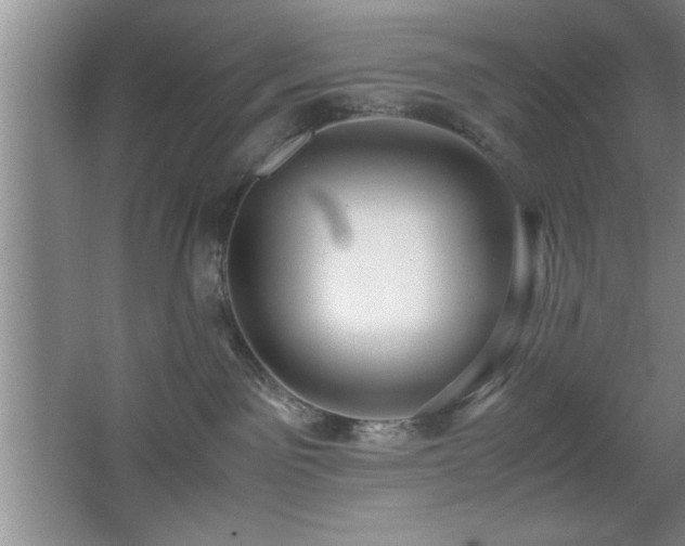 X0000067870141200604131246