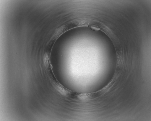 X0000067870142200604131246