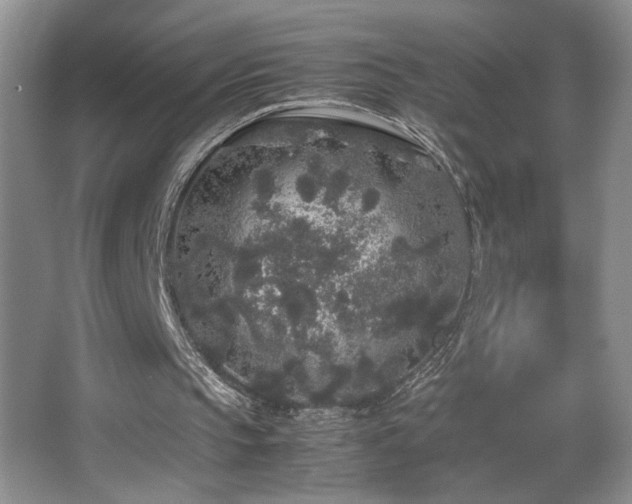 X0000067870145200604131245