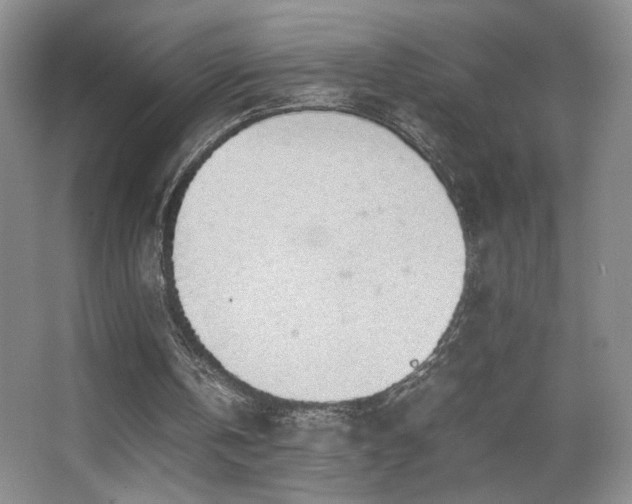 X0000067870146200604131245