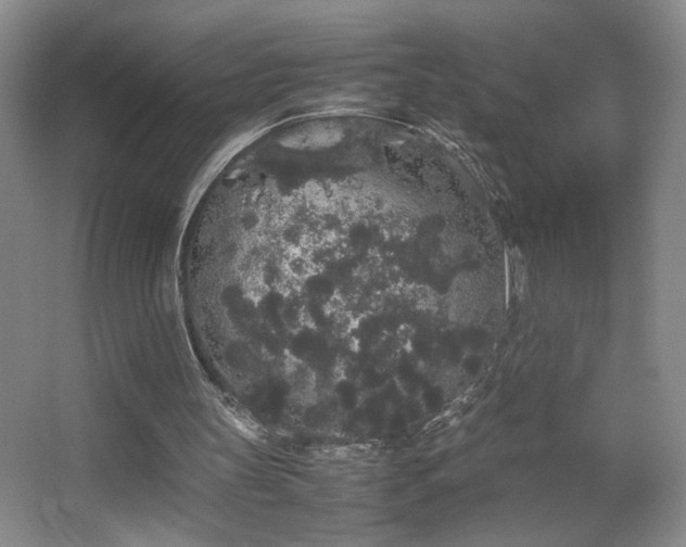 X0000067870147200604131245