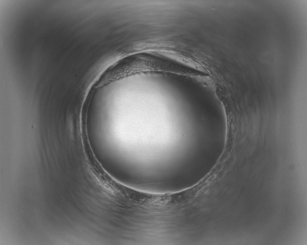 X0000067870148200604131245