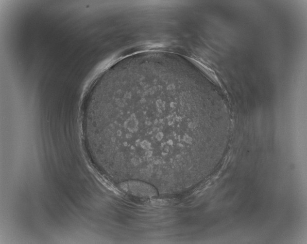 X0000067870149200604131245