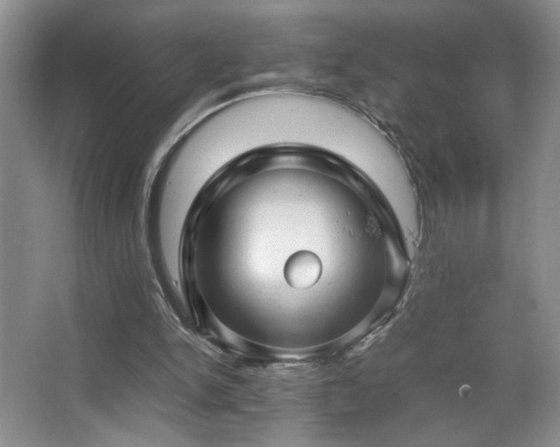 X0000067870150200604131245