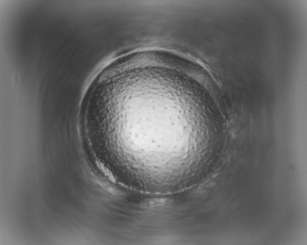 X0000067870152200604131245