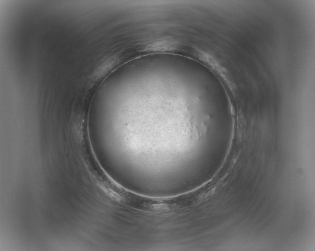 X0000067870153200604131245