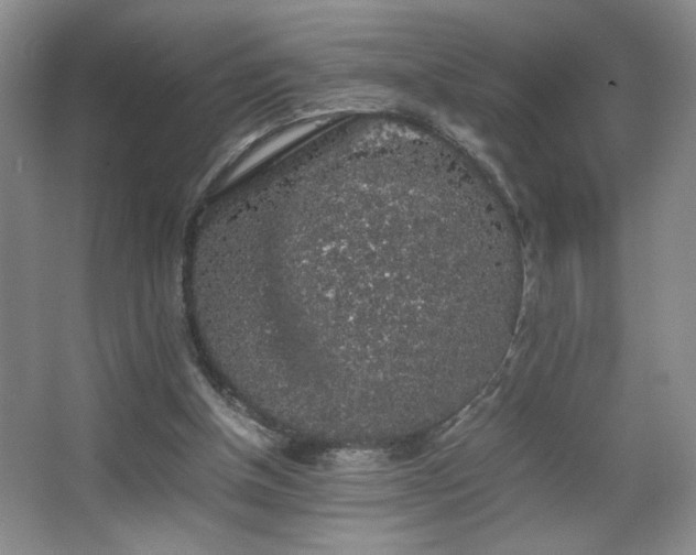 X0000067870154200604131245