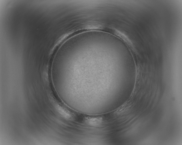 X0000067870155200604131245