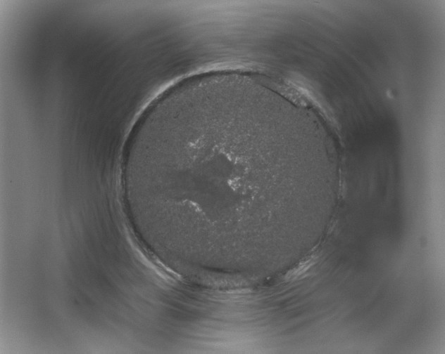 X0000067870156200604131245