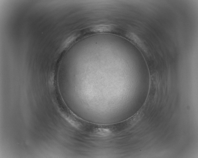 X0000067870159200604131245