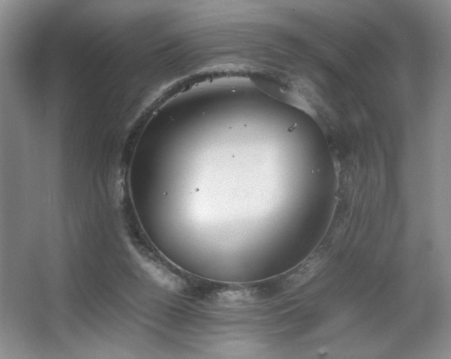 X0000067870160200604131245