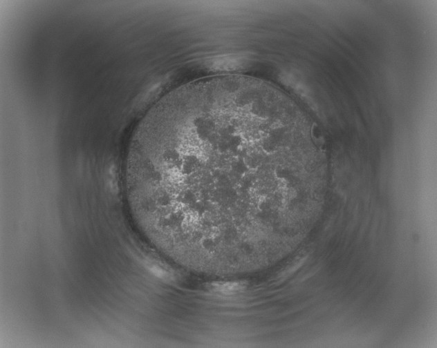 X0000067870161200604131245