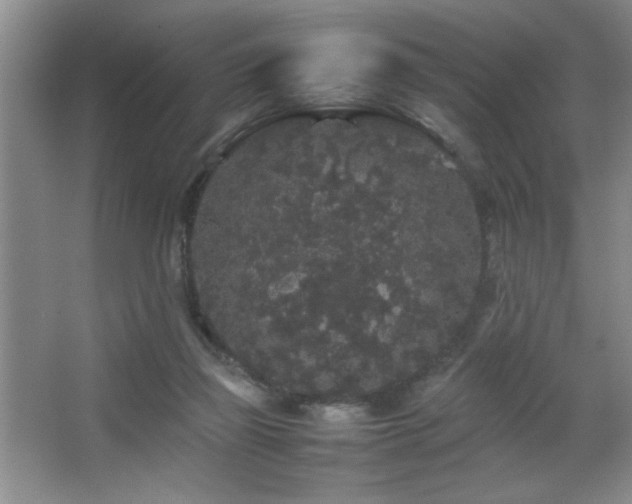 X0000067870165200604131245