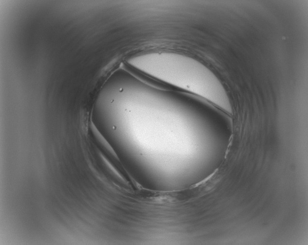 X0000067870168200604131245