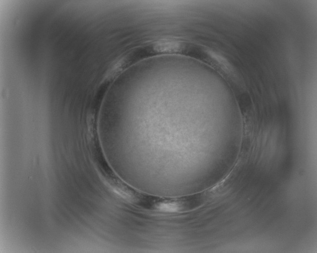 X0000067870171200604131245