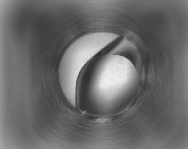 X0000067870172200604131246